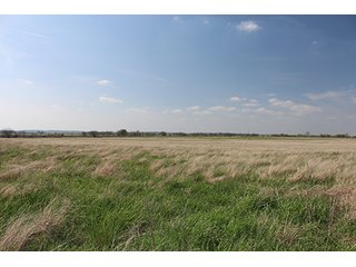 Tract 9 - LAND & MINERAL ACRES OKLAHOMA AUCTION, 588+/- Land & Producing Mineral Acres offered in 24 Tracts in Okmulgee County